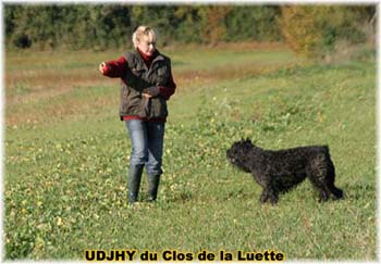 Elevage du CLOS DE LA LUETTE - COPYRIGHT DEPOSE